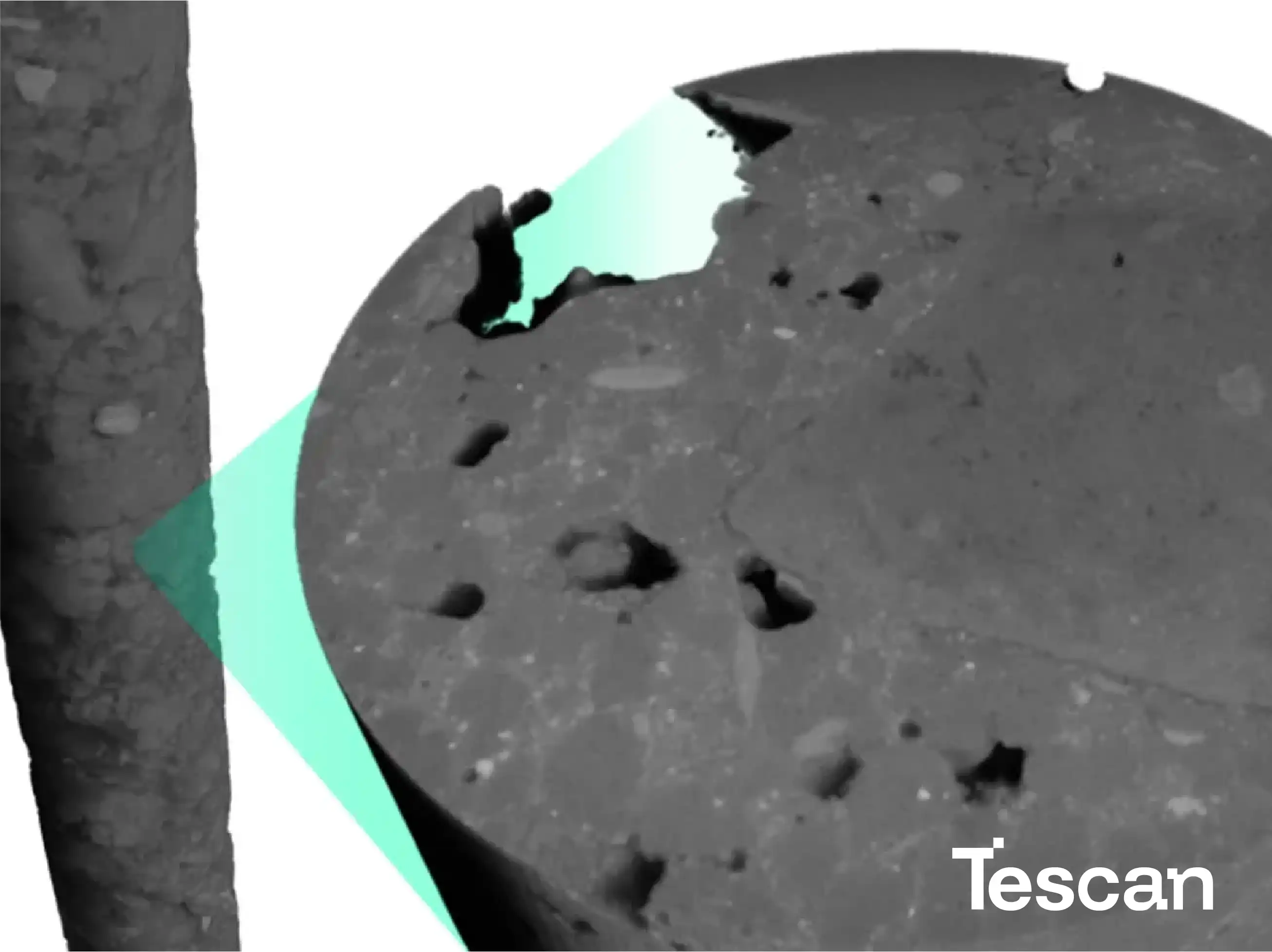 Tescan Biological Applications for Life Science